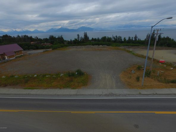 3658 Forest Glen Dr, Homer, AK 99603